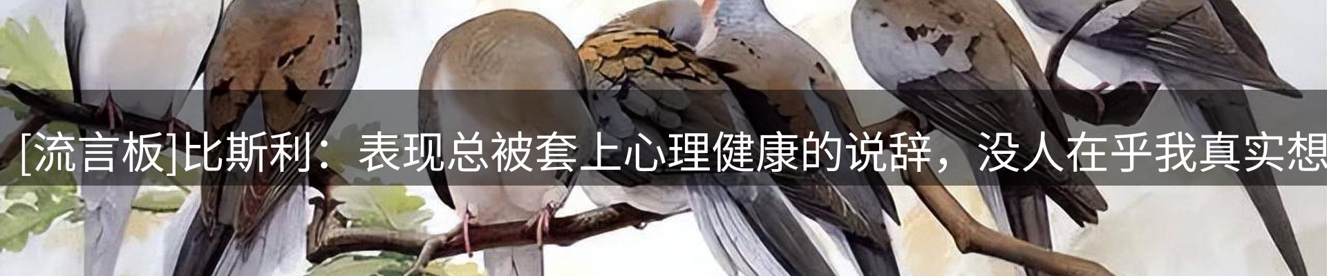 体育资讯